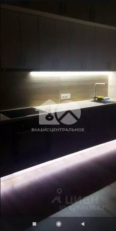 Студия Новосибирская область, Новосибирский район, Барышевский ... - Фото 1