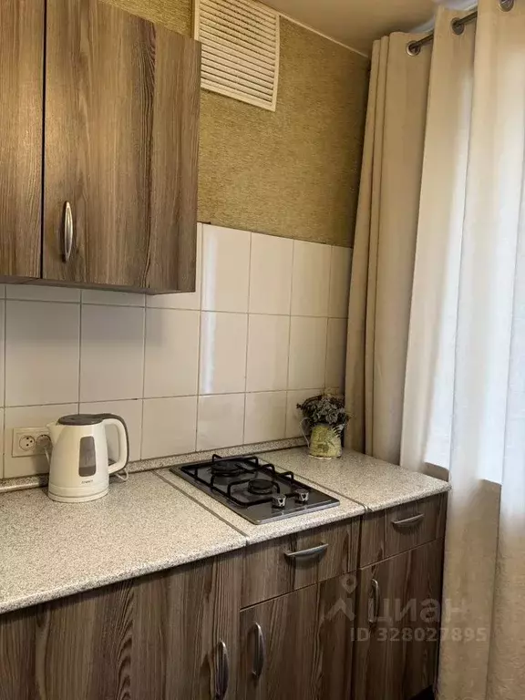 1-к кв. Московская область, Ногинск Богородский городской округ, ул. ... - Фото 2