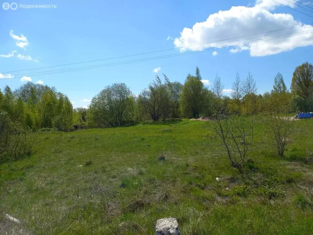Участок в Псковский район, Логозовская волость, деревня Дуброво (22 м) - Фото 1