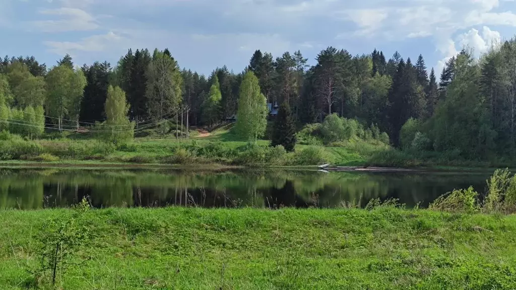 Дом в Ленинградская область, Волховский район, Пашское с/пос, д. ... - Фото 1