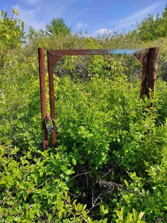 Участок в Самарская область, Ставропольский район, Нижнее Санчелеево ... - Фото 1