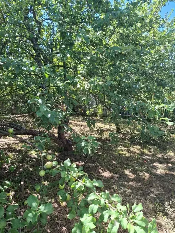 Дом в Башкортостан, Благовещенский район, Бедеево-Полянский сельсовет  ... - Фото 2