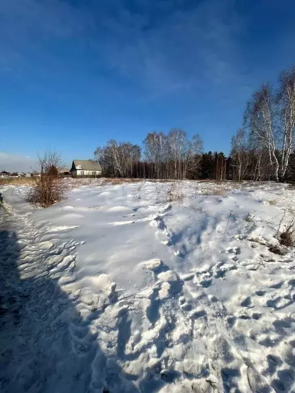 Участок в Иркутская область, Иркутский муниципальный округ, д. ... - Фото 1