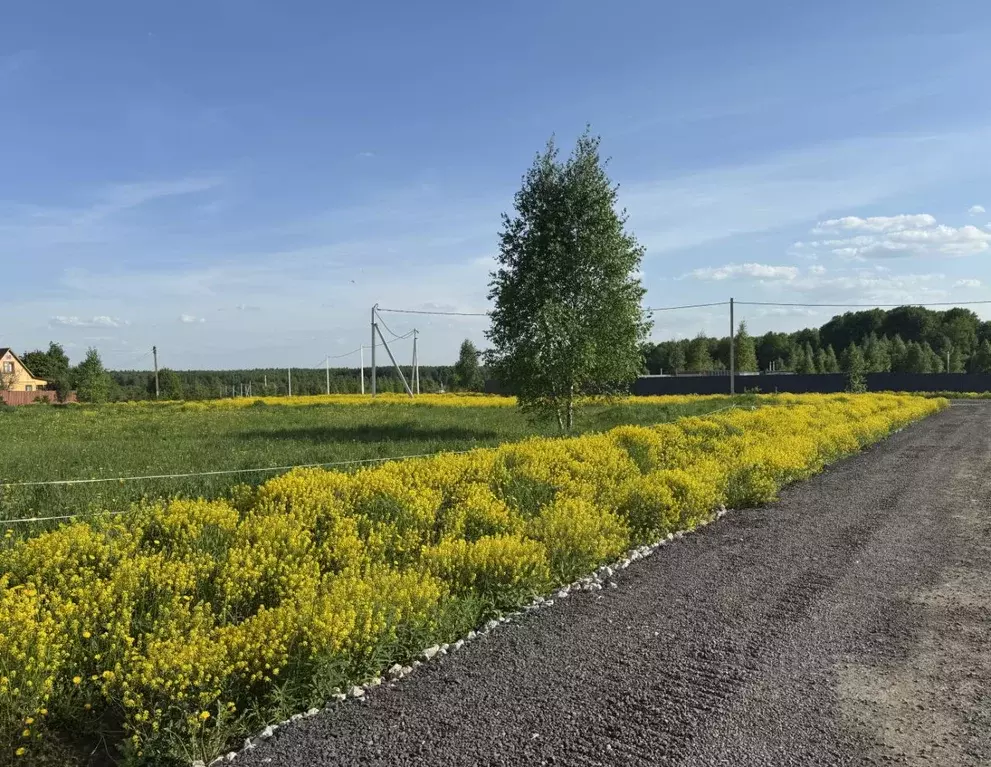 Участок в Московская область, Наро-Фоминский городской округ, Кедрица ... - Фото 1