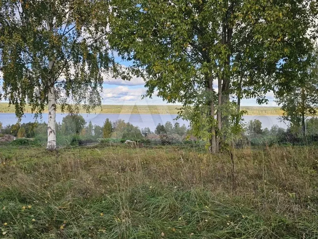 Участок 6 сот. (ИЖС) - Фото 0
