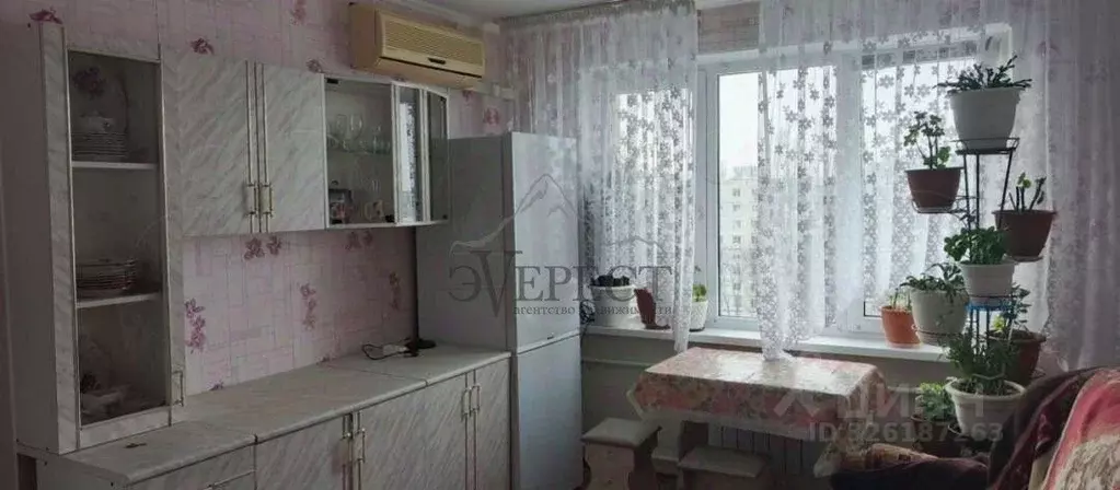 1-к кв. Белгородская область, Старый Оскол Молодогвардеец мкр, 1 (30.5 ... - Фото 1