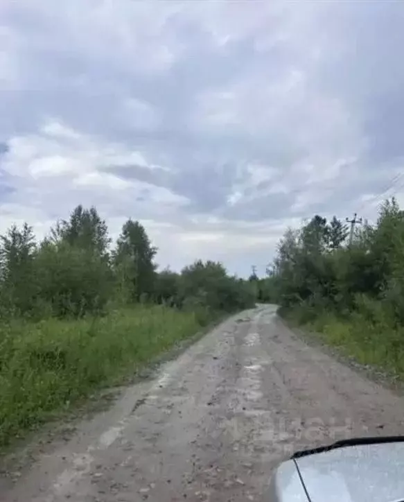 Участок в Иркутская область, Шелеховский район, Баклашинское ... - Фото 1