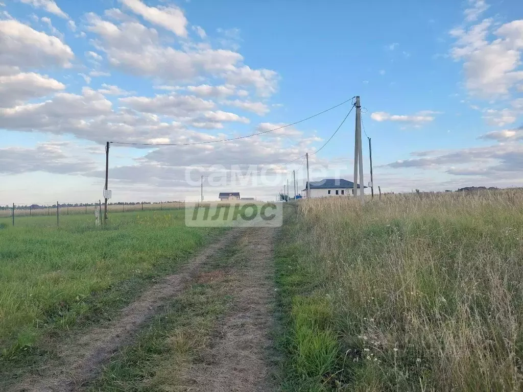 Участок в Курская область, Курский район, Новопоселеновский сельсовет, ... - Фото 0