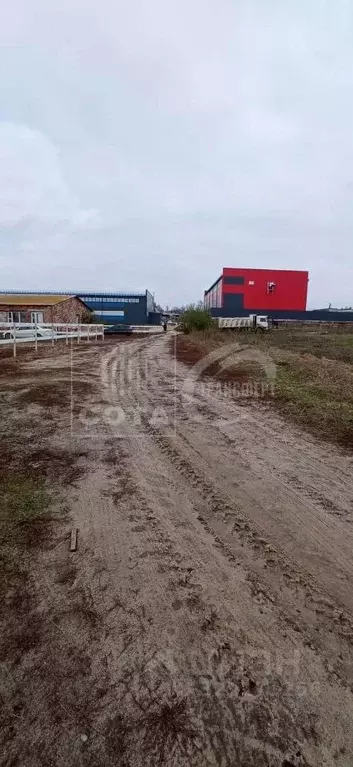 Участок в Воронежская область, Рамонский район, с. Ямное  (12.0 сот.) - Фото 1