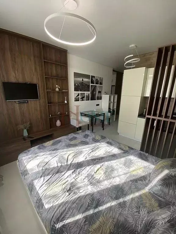 Студия Новосибирская область, Новосибирск ул. Сакко и Ванцетти, 77 ... - Фото 2