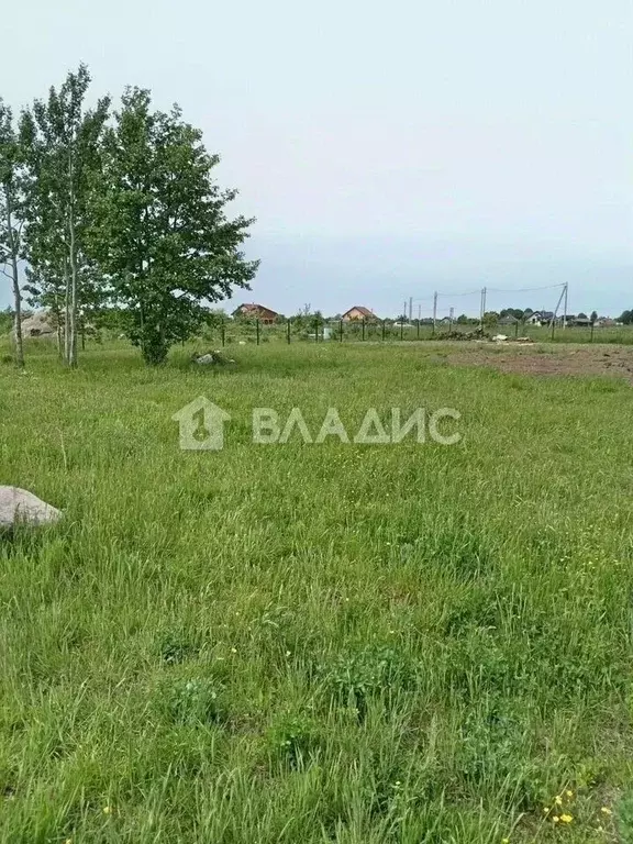 Участок в Калининградская область, Зеленоградский муниципальный округ, ... - Фото 1