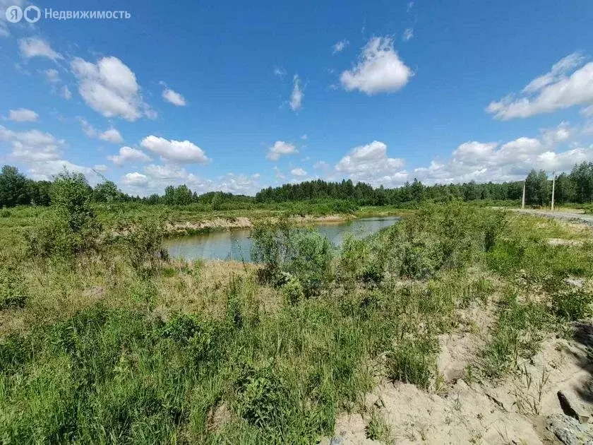 Участок в Тюменский район, село Борки (14.9 м) - Фото 0