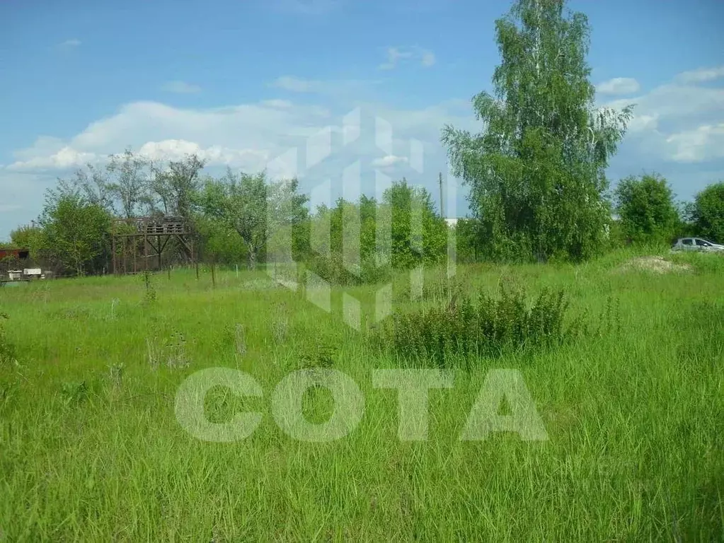 Участок в Воронежская область, Воронеж Строитель СНТ, ул. 10-я, 134 ... - Фото 1