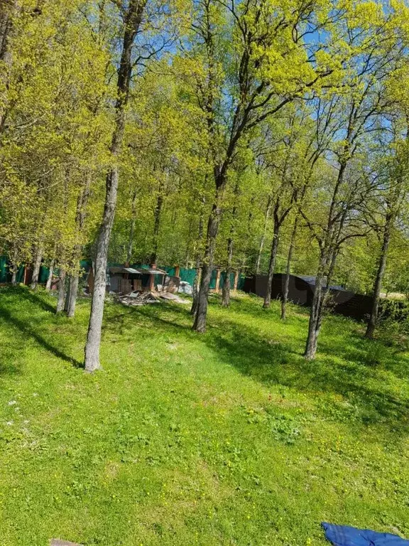 Дом 200 м на участке 25 сот. - Фото 1