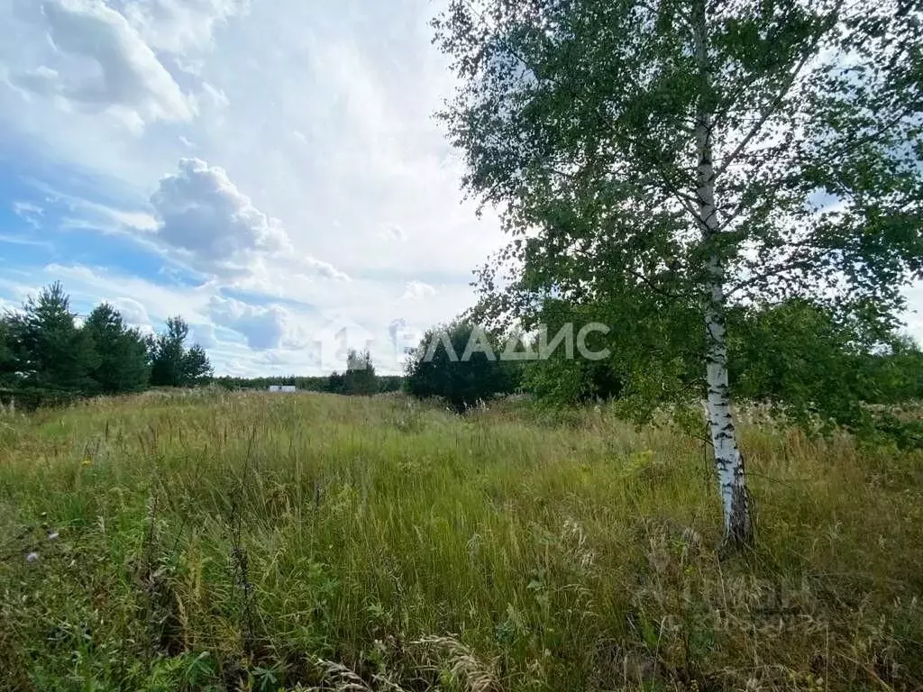 Участок в Владимирская область, Судогодский район, Головинское ... - Фото 1