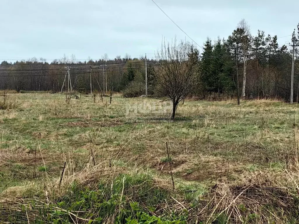 Участок в Карелия, Прионежский район, с. Шелтозеро  (20.0 сот.) - Фото 0