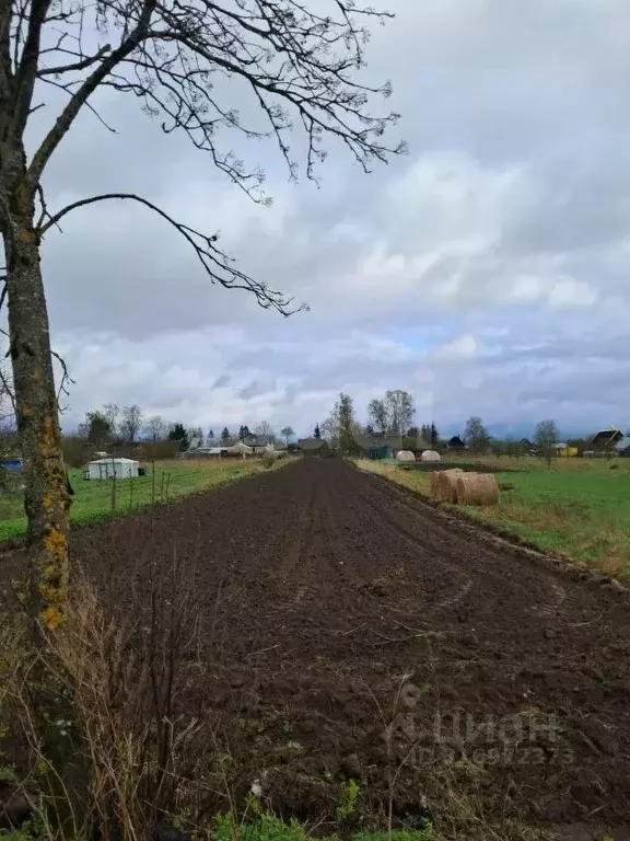 Участок в Ленинградская область, Волосовский район, Калитинское с/пос, ... - Фото 1
