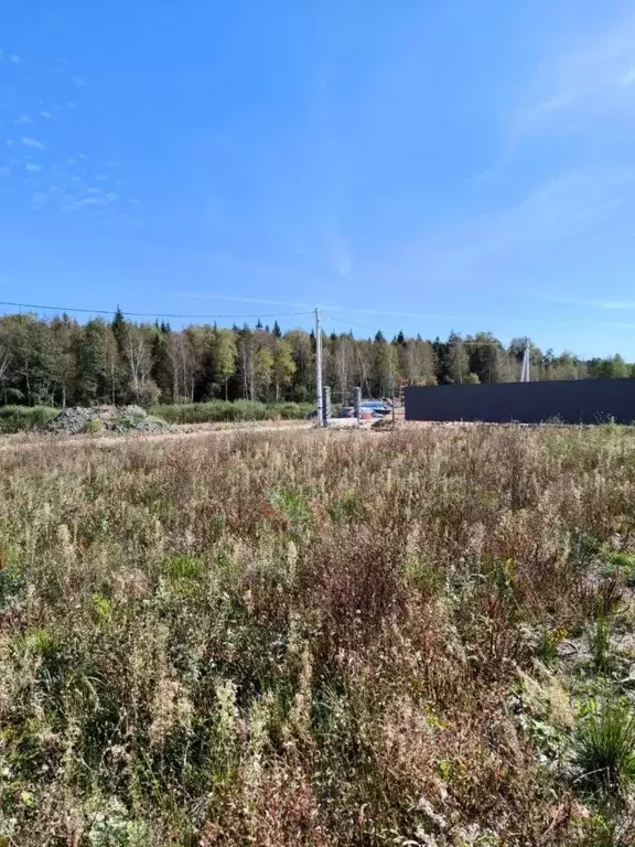 Участок в Московская область, Щелково городской округ, Парковая тер.  ... - Фото 2