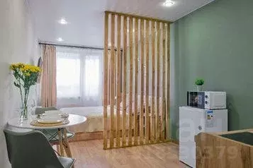 1-к кв. Томская область, Томск Большая Подгорная ул., 87 (30.0 м) - Фото 0