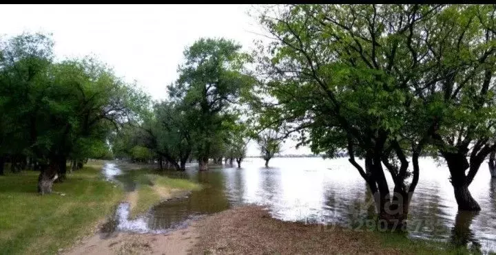 Участок в Астраханская область, Приволжский район, пос. Ассадулаево ... - Фото 2