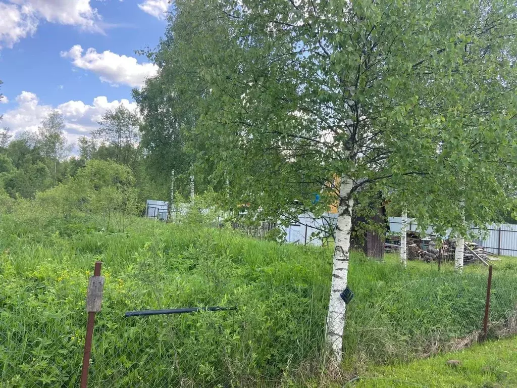 Участок в Калужская область, Перемышльский район, Большие Козлы с/пос, ... - Фото 1