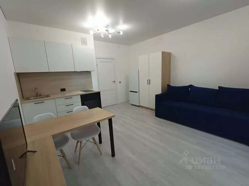 Студия Санкт-Петербург просп. Обуховской обороны, 36 (27.46 м) - Фото 2