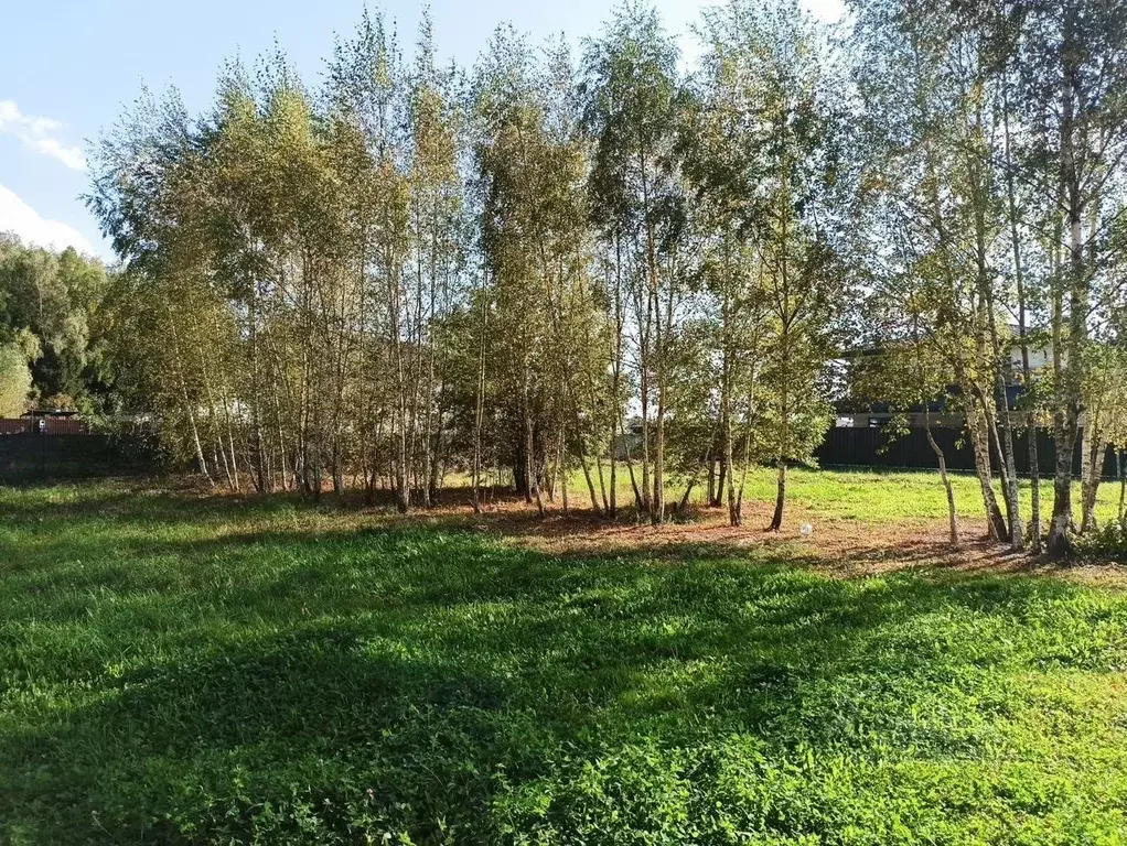 Участок в Москва д. Клоково, Певчее кп, 466 (11.6 сот.) - Фото 2