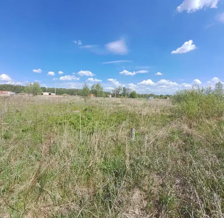 Участок в Московская область, Воскресенск городской округ, д. ... - Фото 1