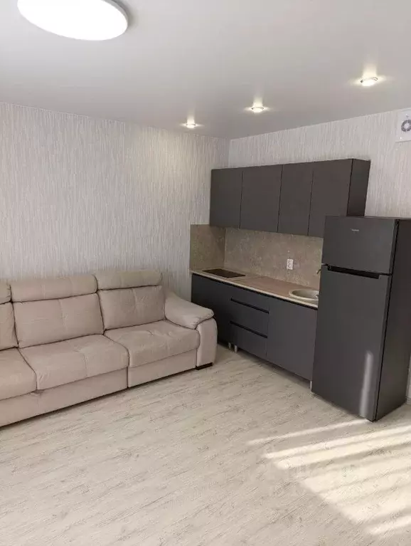 1-к кв. Челябинская область, Челябинский городской округ, пос. ... - Фото 1