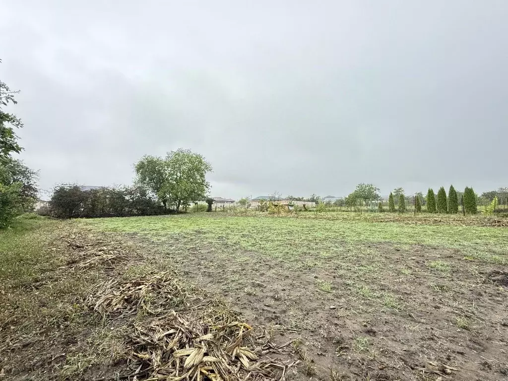 Участок в Кабардино-Балкария, Чегемский район, с. Нартан Клишбиевская ... - Фото 1