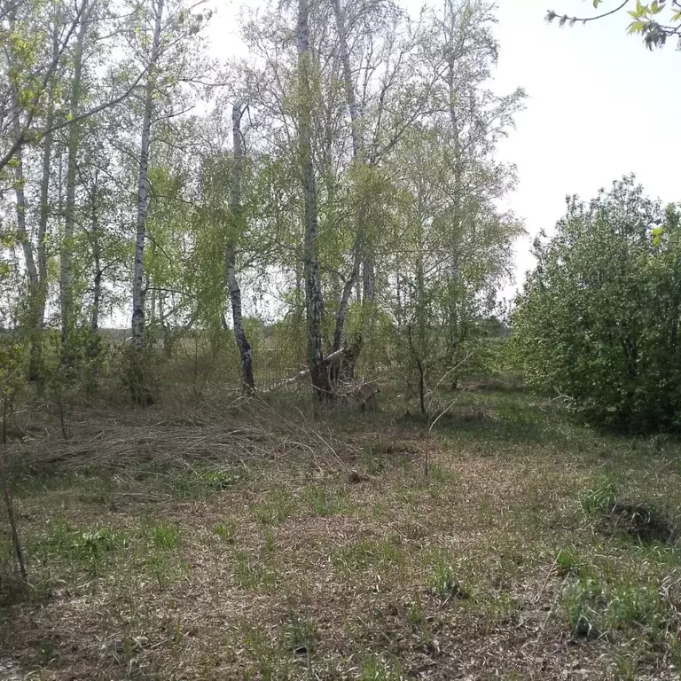 Дом в Омская область, Азовский Немецкий Национальный район, д. Южное ... - Фото 0