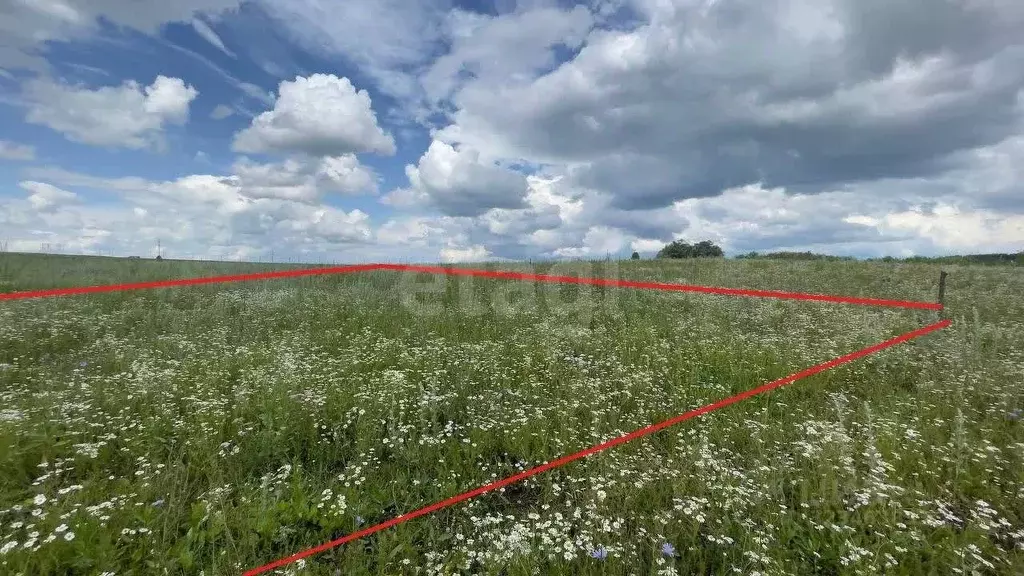 Участок в Башкортостан, Бирск ул. Уютная (9.0 сот.) - Фото 1