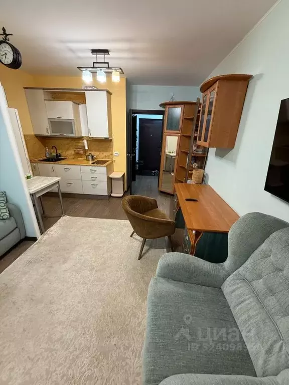 Студия Санкт-Петербург ул. Летчика Лихолетова, 14к2 (24.6 м) - Фото 1