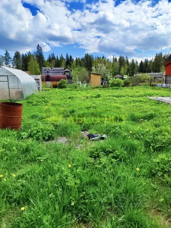 Дом в Свердловская область, Сысертский муниципальный округ, Мечта СНТ ... - Фото 2