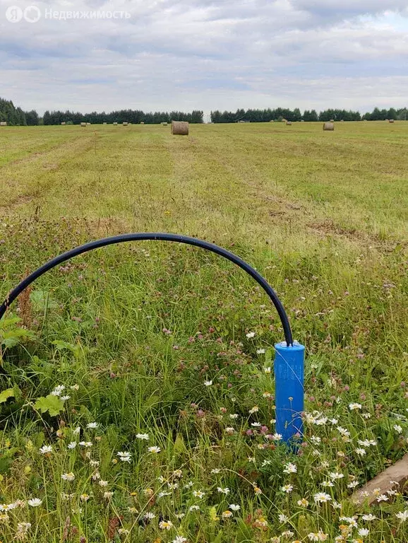 Участок в Республика Коми, муниципальный район Корткеросский, ... - Фото 2