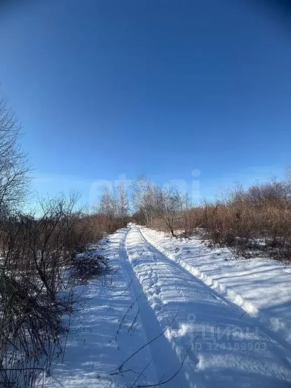 Участок в Амурская область, Благовещенск Новотроицкое ш. (8.0 сот.) - Фото 2