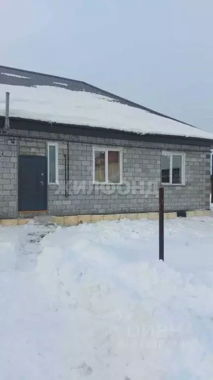 2-к кв. Новосибирская область, Колывань рп ул. Рябиновая, 24 (47.0 м) - Фото 1