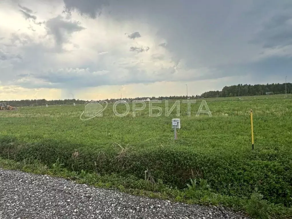 Участок в Тюменская область, Тюменский район, с. Каменка  (10.0 сот.) - Фото 1