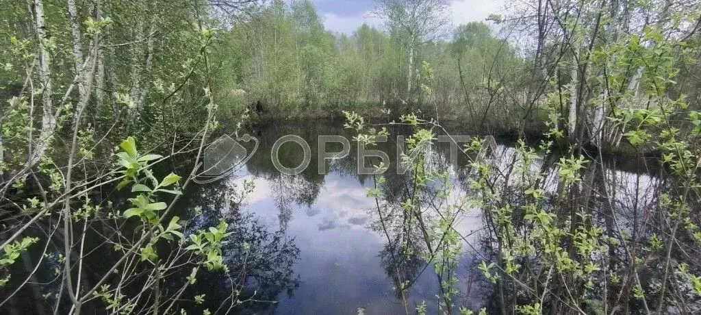 Участок в Тюменская область, Нижнетавдинский район, Фортуна СТ ул. ... - Фото 1