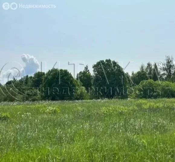 Участок в Выборгский район, Селезнёвское сельское поселение, посёлок ... - Фото 1