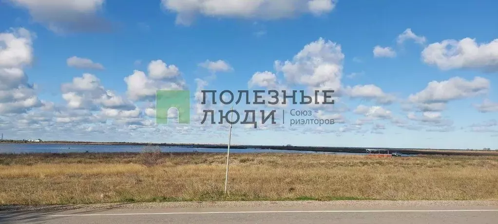 Участок в Крым, Черноморский район, с. Межводное ул. Харьковская (25.0 ... - Фото 1