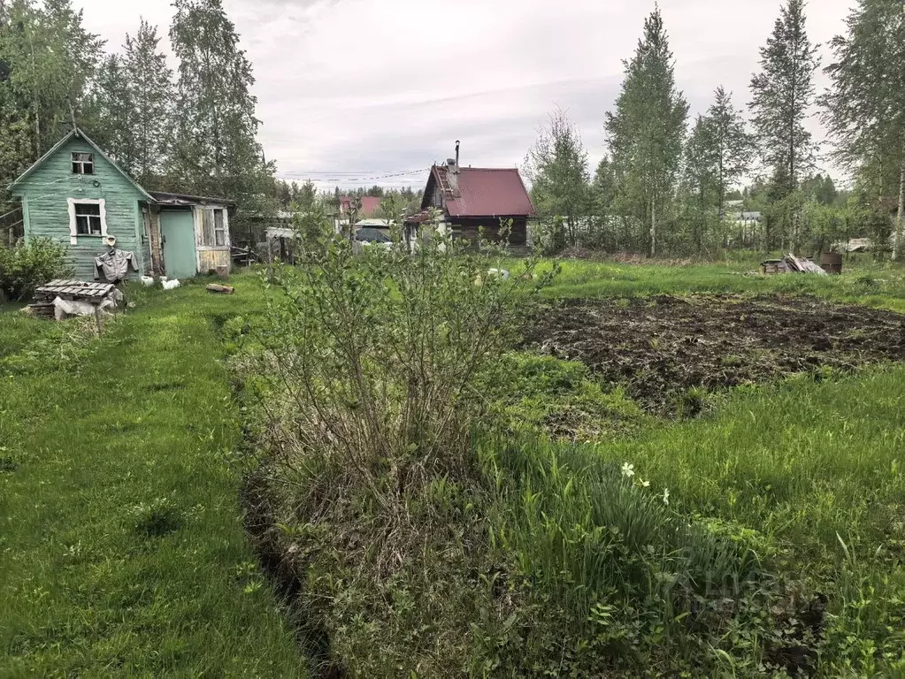 Дом в Архангельская область, Приморский муниципальный округ, ... - Фото 2