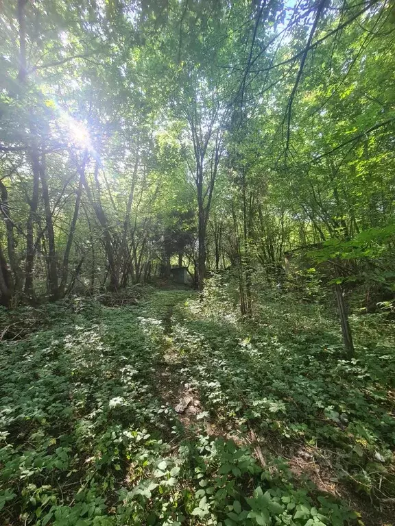 Участок в Москва пос. Речник,  (12.0 сот.) - Фото 2