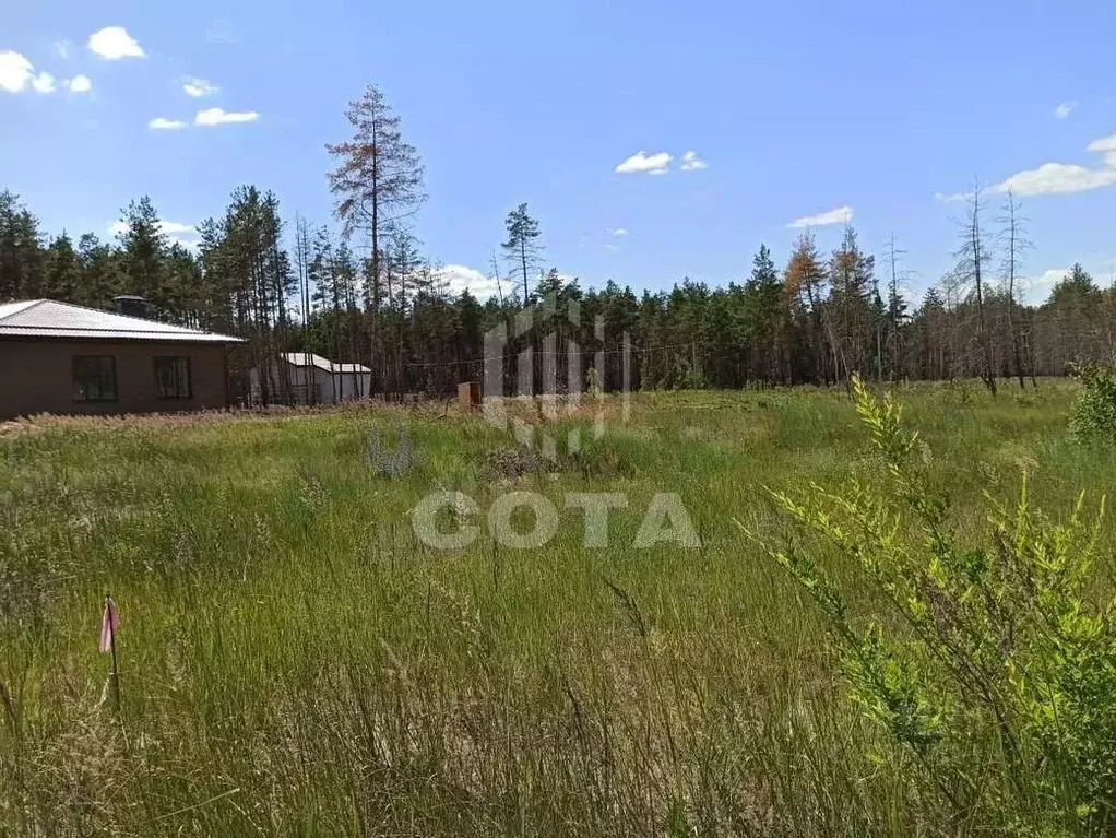 Участок В Медовке Воронеж Купить