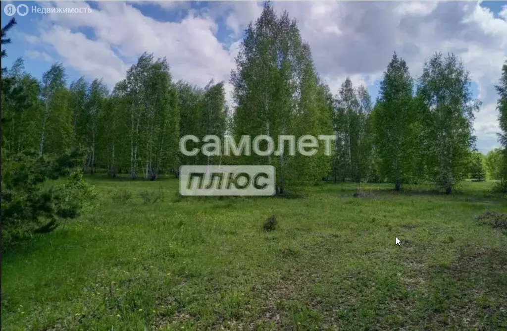 Участок в Челябинская область, Сосновский муниципальный округ, деревня ... - Фото 2