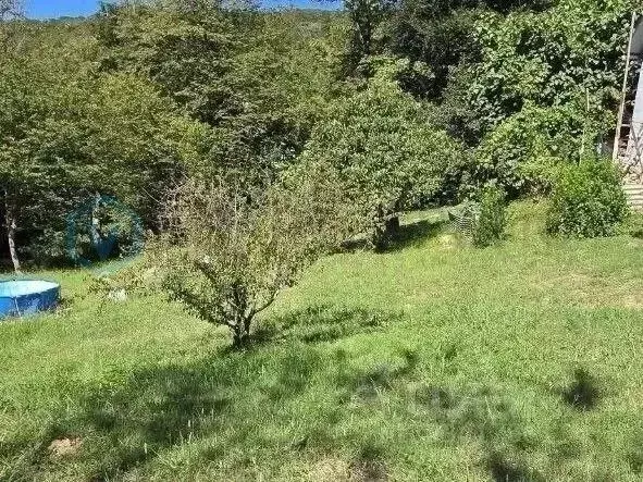 Участок в Краснодарский край, Сочи городской округ, пос. Дубравный ул. ... - Фото 2