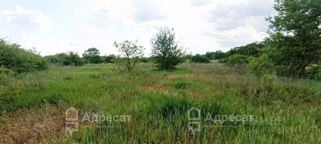 Участок в Волгоградская область, Краснослободск Среднеахтубинский ... - Фото 1