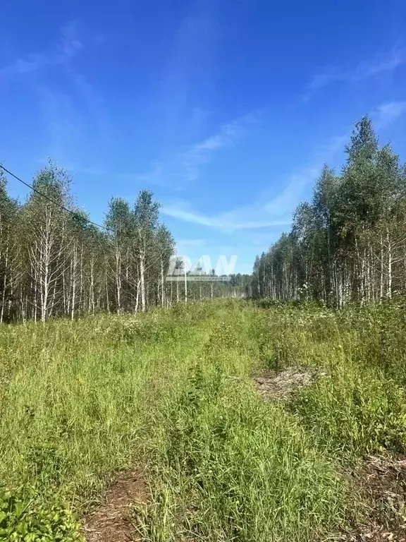 Участок в Челябинская область, Сосновский муниципальный округ, с. ... - Фото 2