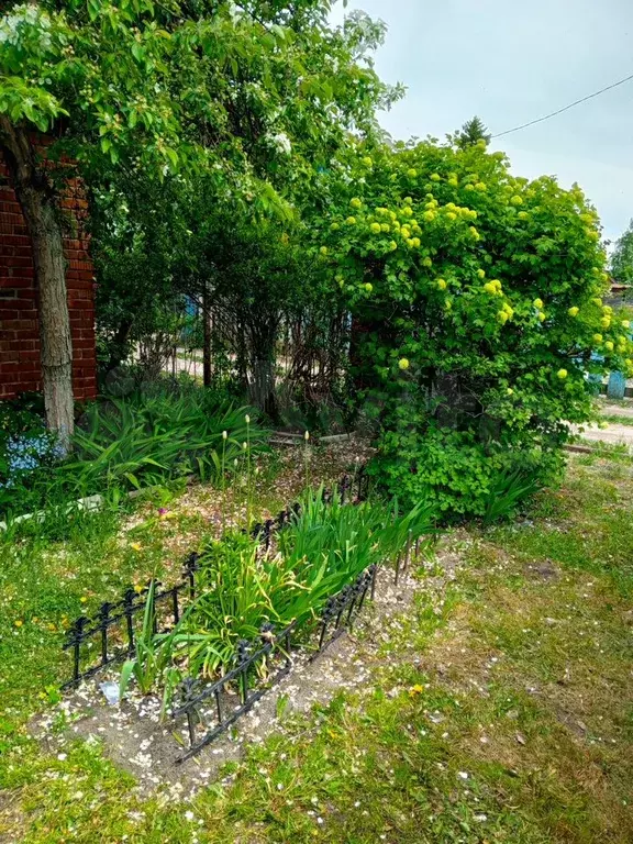Дом 31,5 м на участке 4 сот. - Фото 1