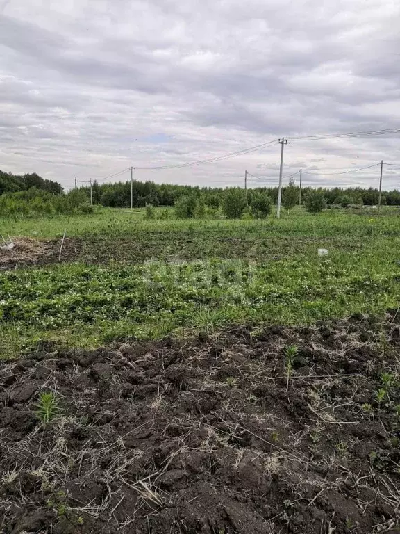 Участок в Кемеровская область, Кемеровский район, Кирилловка СНТ  ... - Фото 1